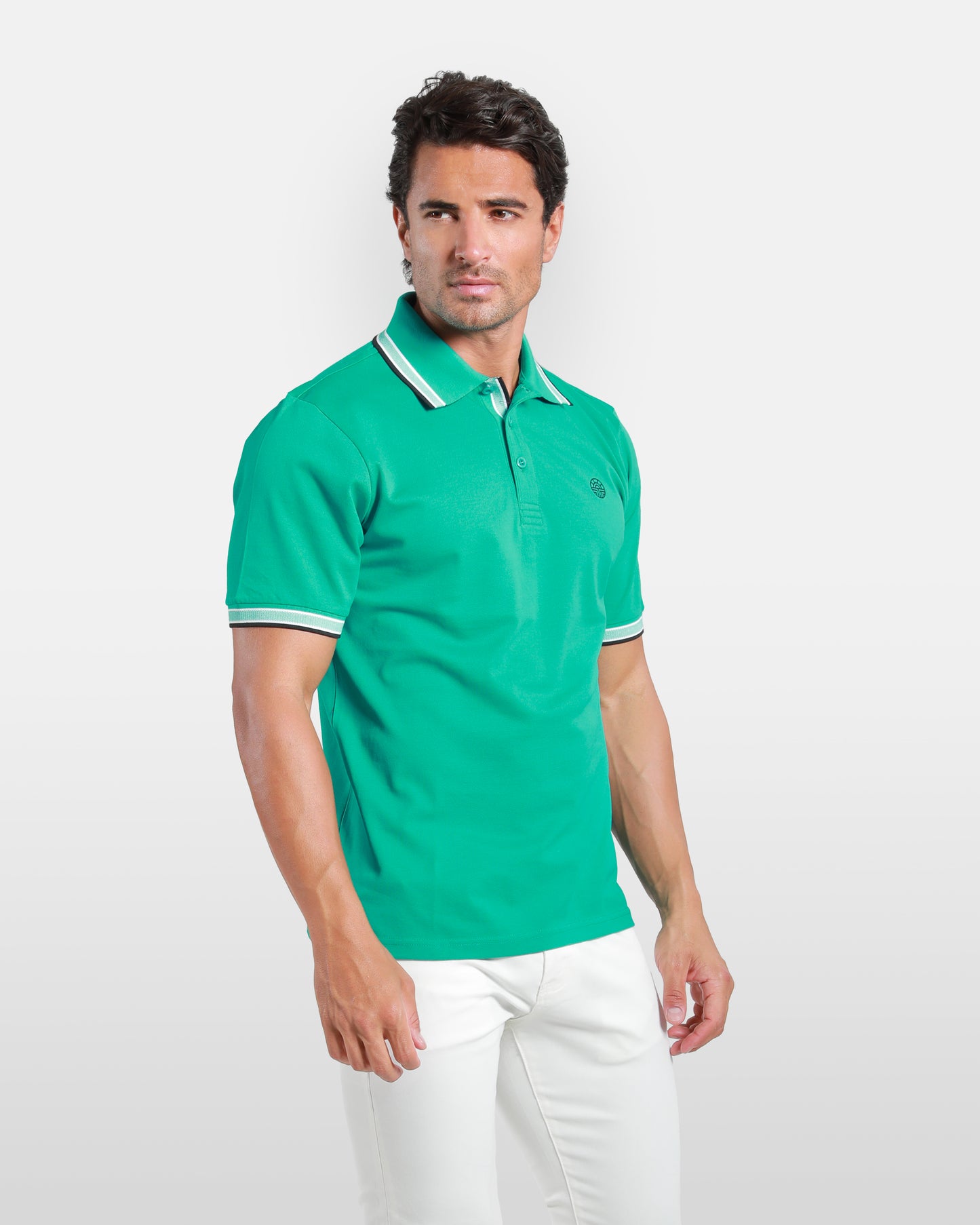 Striped Collar Cotton Polo Shirt